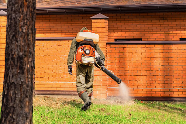 Trusted Rodent Control service in Shenandoah, IA - Nex Pest Control